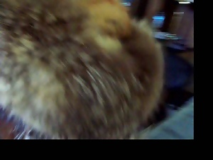 Furgirl brown fur hat blowjob 3